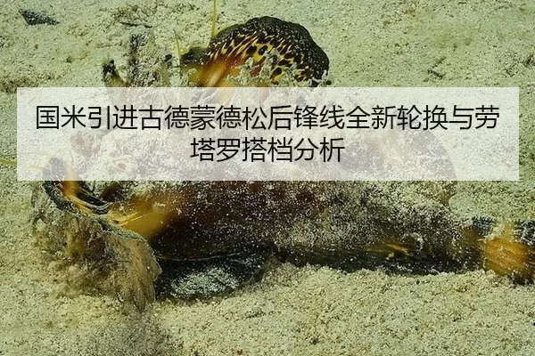 国米引进古德蒙德松后锋线全新轮换与劳塔罗搭档分析