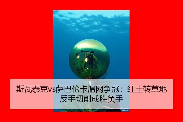 si-wa-tai-ke-sa-ba-lun-ka-wen-wang-zheng-guan-hong-tu-zhuan-cao-di-fan-shou-qie-xiao-cheng-sheng-fu-shou-3-125.jpg